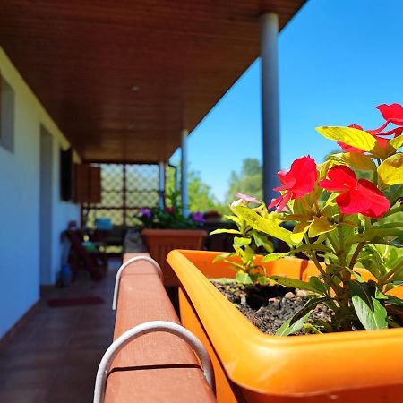 Apartman Dunav Aljmaš Buitenkant foto