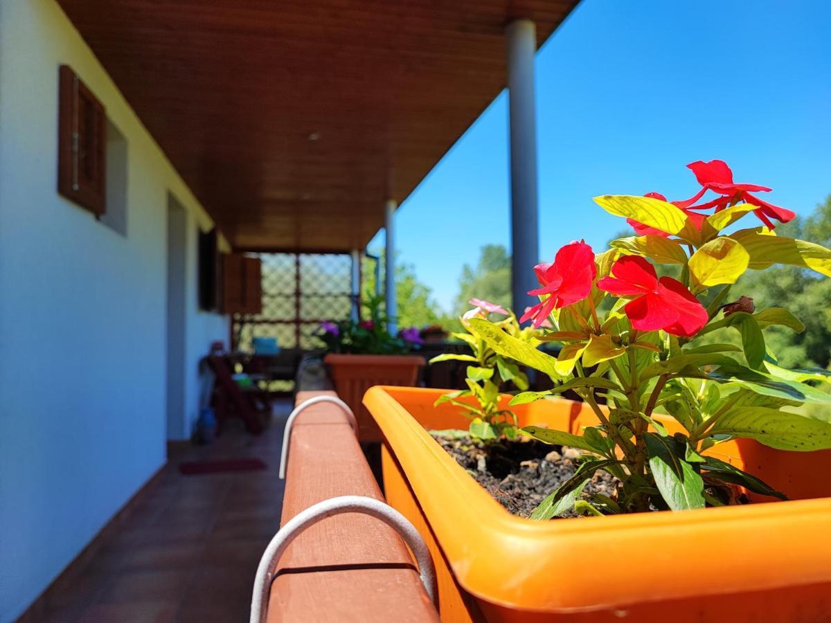 Apartman Dunav Aljmaš Buitenkant foto